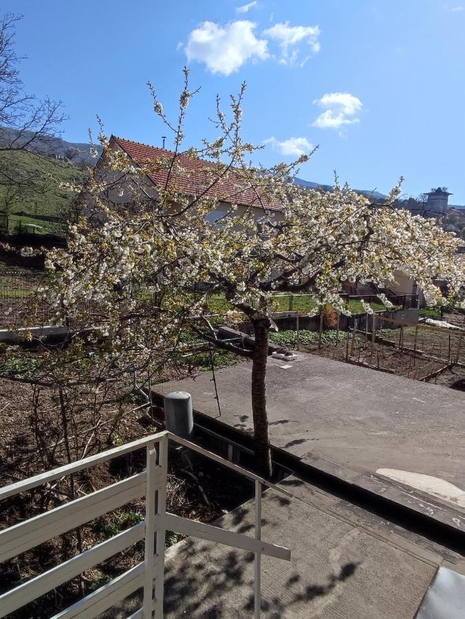 Apartman Bor Livno Kültér fotó