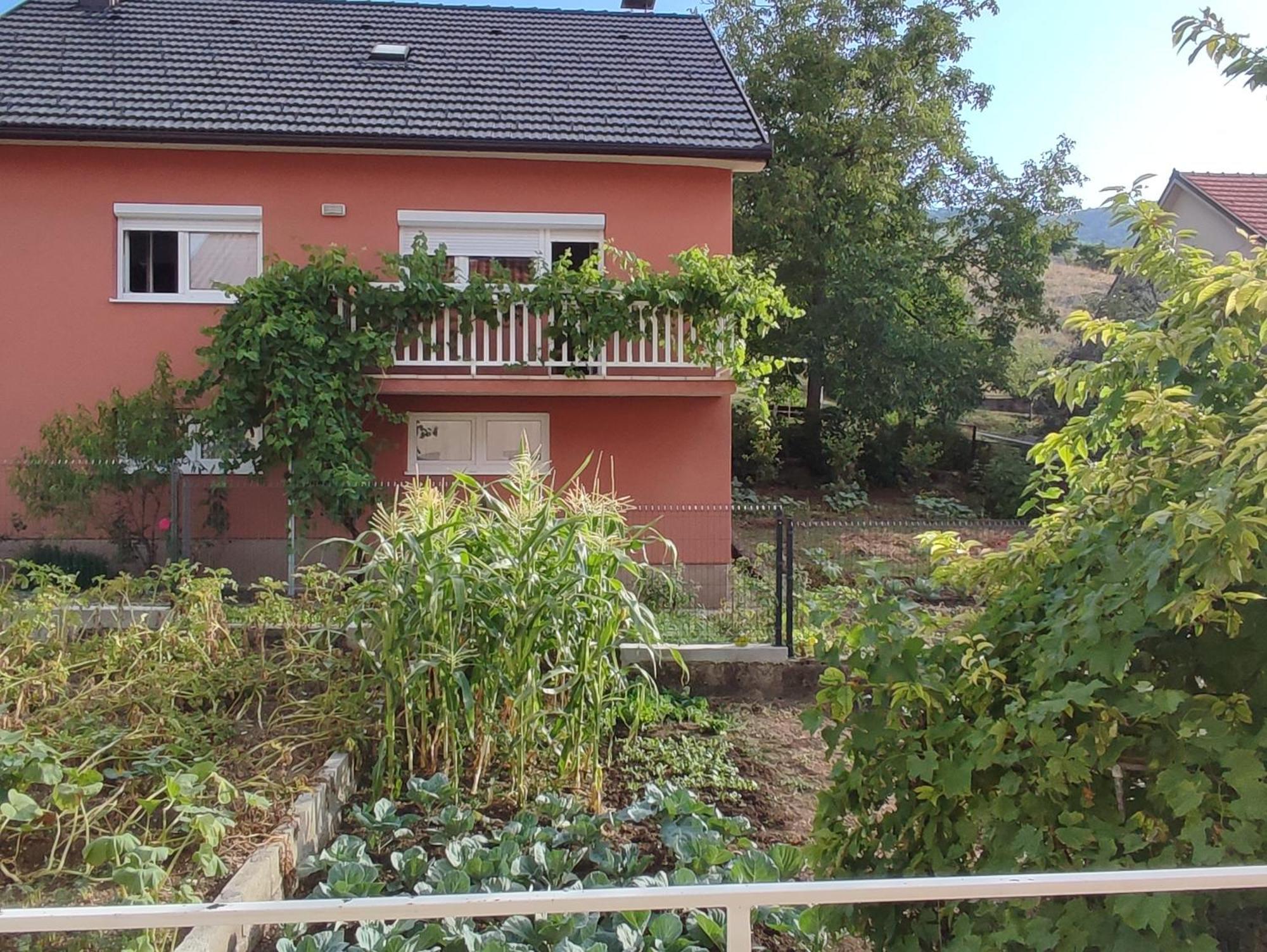 Apartman Bor Livno Kültér fotó